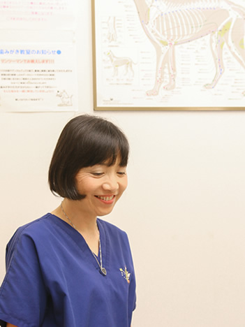 いずみ犬と猫のクリニック