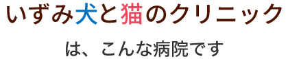 いずみ犬と猫のクリニック